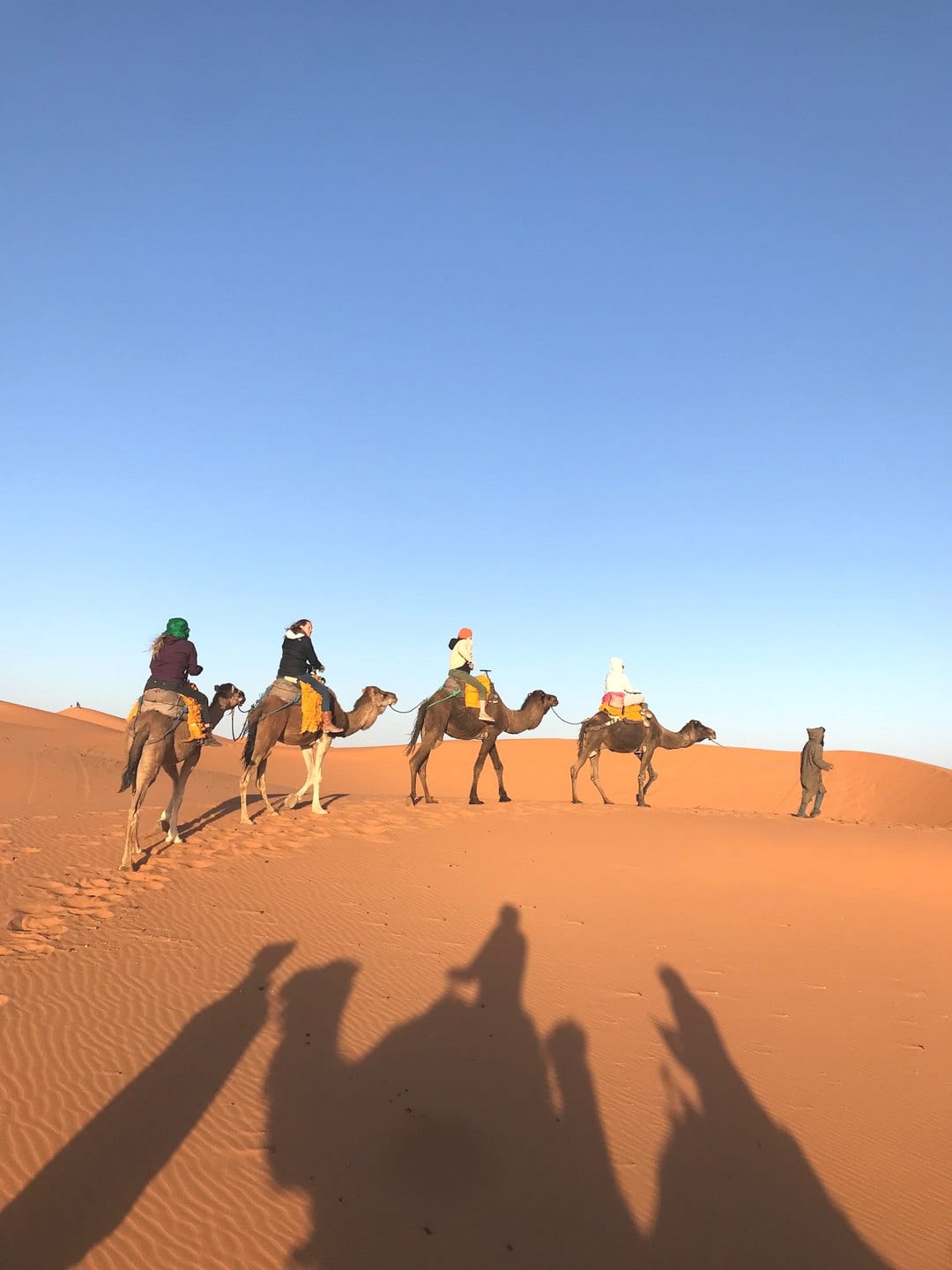 Sombras alargadas de una caravana de dromedarios sobre la arena
