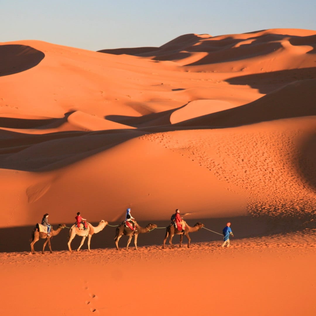 Caravana avanzando por el inmenso mar de dunas del Sahara