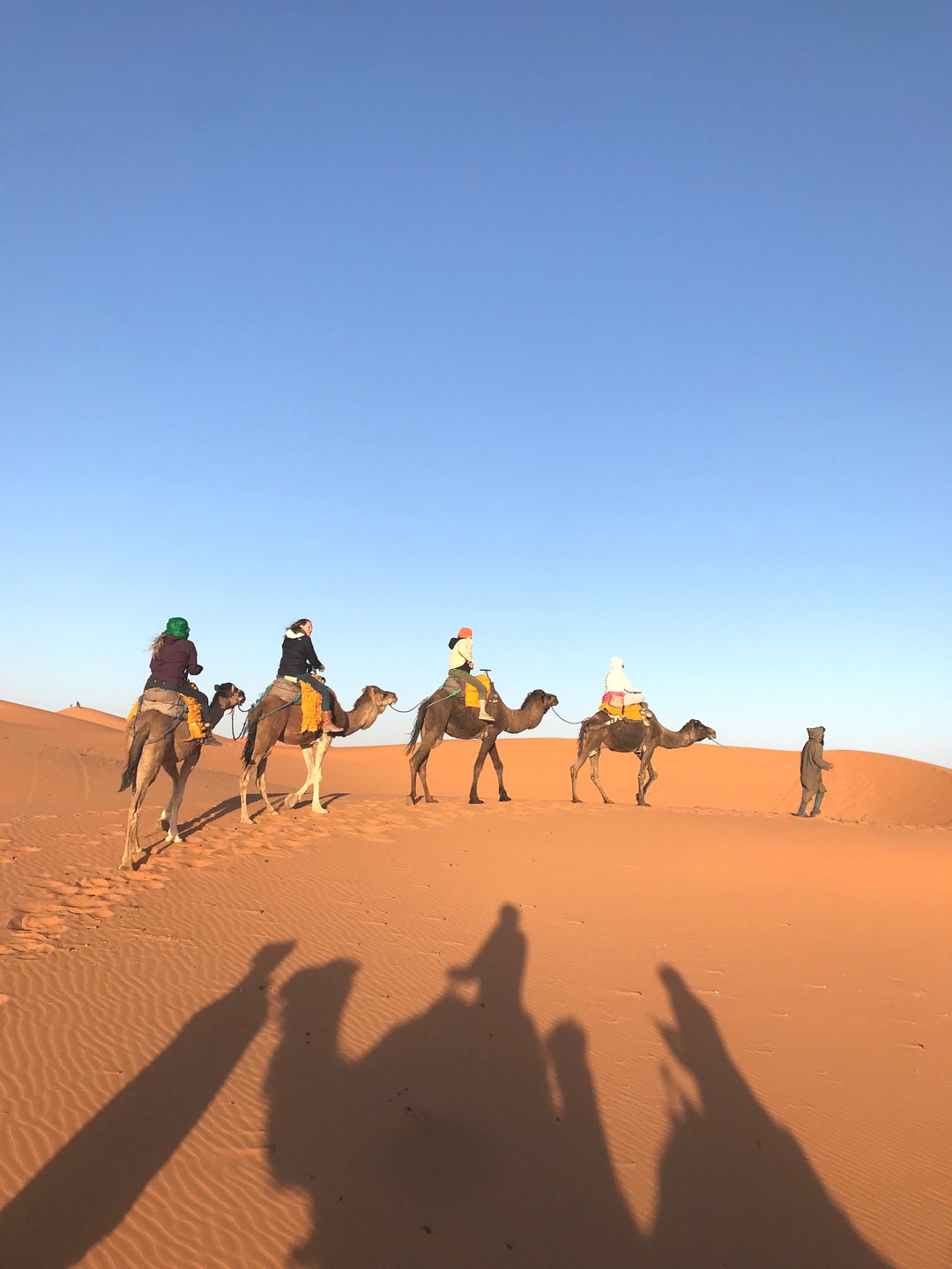 Sombras alargadas de una caravana de dromedarios sobre la arena