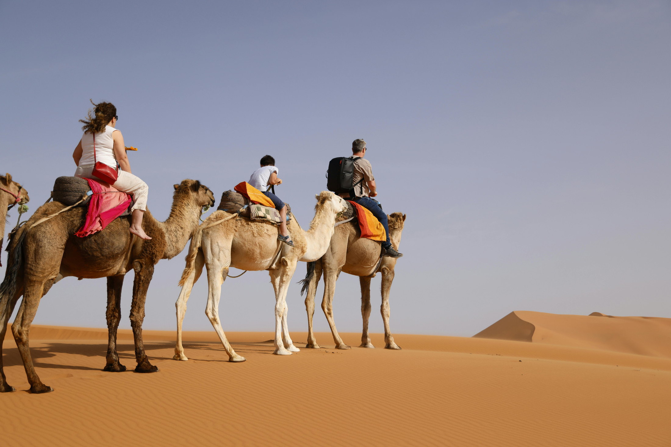 Viajeros a lomos de dromedarios cruzando las dunas del Sahara marroquí